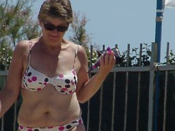 bild 241